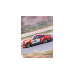 Porsche 911 in Racing - Four decades in motorsport - da Gustav Büsing