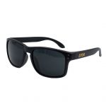 DTM Sunglasses black
