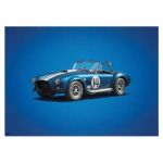 Affiche Shelby-Ford AC Cobra Mk III - Blue -  1965 - Colors of Speed