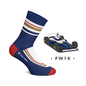 FW16 Socks
